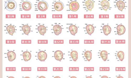 哺乳期可以吃炸里脊肉吗网 | 哺乳期可以吃炸里脊肉吗宝宝,哺乳期能不能吃糖醋里脊