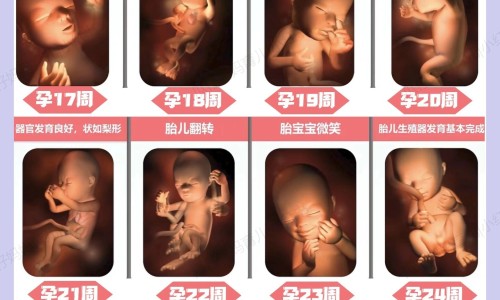 哺乳期可以吃炸里脊肉吗网 | 哺乳期可以吃炸里脊肉吗宝宝,哺乳期能不能吃糖醋里脊