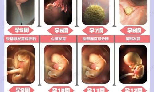 哺乳期可以吃炸里脊肉吗网 | 哺乳期可以吃炸里脊肉吗宝宝,哺乳期能不能吃糖醋里脊